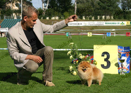 Kennel - linnanhaltijan - (Finlanda), proprietari ai canisei elma haltia, jussi liimatainen