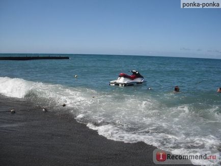 Albatros de plajă, Sochi - 