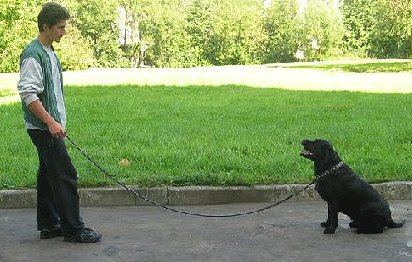 Citește-o! Kennel labrador retrieverii pkf-fci aveglant