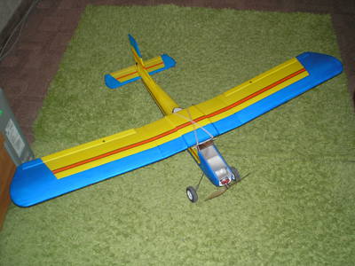 festmény egy modell repülőgép