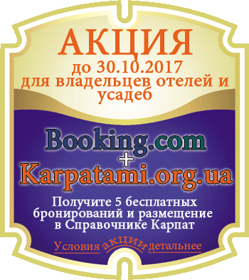 Поляна санаторій (Свалява поляна) опис, ціни і відгуки