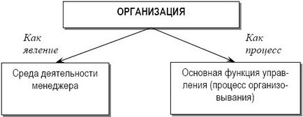 Conceptul și esența organizației, caracteristicile și atributele acesteia