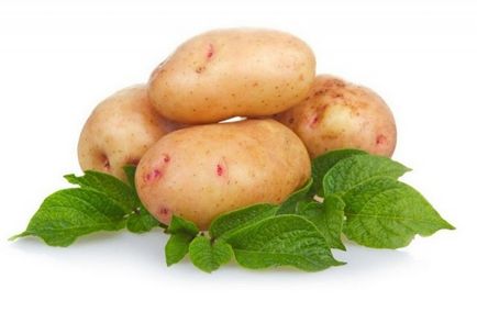 Soiurile târzii de cartofi