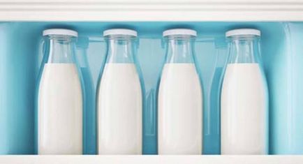 Reguli pentru stocarea produselor lactate, împărtășim sfaturi