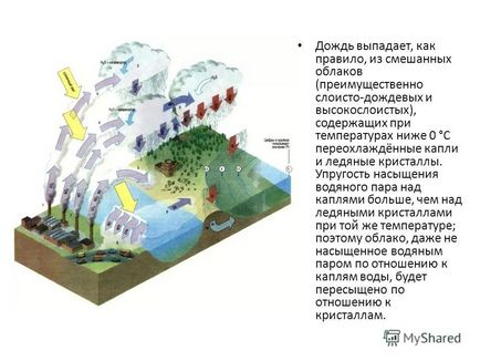 Előadás a dózse munka a hallgató 11 Osztály Tatiana Ivanova Elena klopova eső