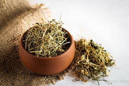 Utilizarea tincturii de iarbă de buruiană pentru tratamentul cancerului, proprietăți medicinale și contraindicații