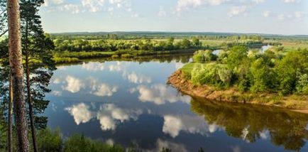 Natură, plante și animale din Udmurtia