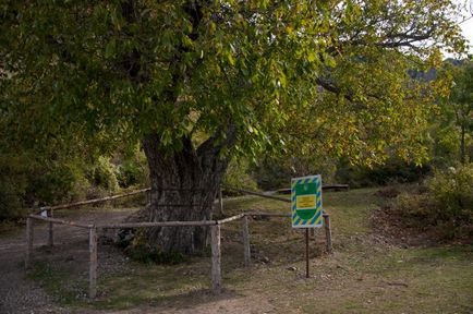 Călătorie de la Alushta la valea fantomelor și la cascada jur-dzhur, bestmaps - fotografii prin satelit