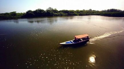 Călătorind în Amazon în Brazilia, Brazilia astăzi