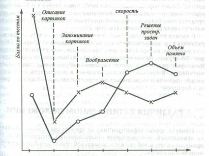 расові відмінності