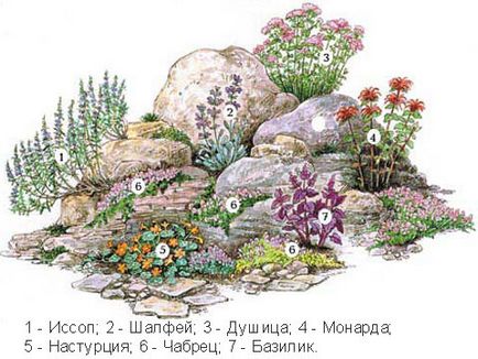 Plante pentru vederi alpine imagini video