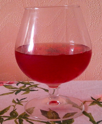 Рецепт, як зробити вино, наливку з червоної смородини в домашніх умовах