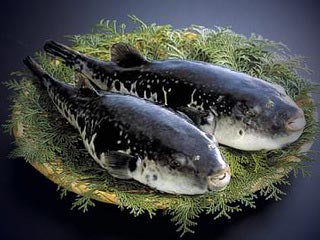 Риба фугу - делікатесна гра зі смертю