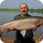Horgászat a Don folyó felső, alsó és középső folyásának - halászatról Oroszország és az egész világon