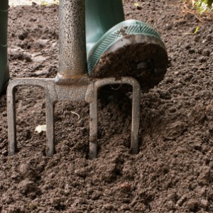 Degradarea solului este o agroproces importantă - o grădină fără îngrijorări