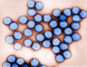 Infecția cu rotavirus la adulți cu simptome și tratament