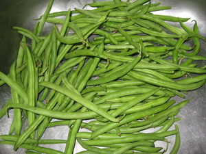 Salate din fasole verde