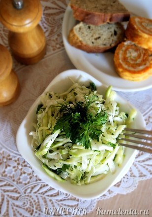 Salata dintr-o rețetă de dovlecei și de varză cu o fotografie, cum să gătești o salată delicioasă cu un suc de fructe