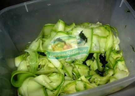 Saláta cukkini téli kedvelt receptek fotókkal