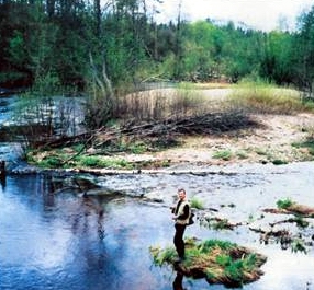 Locația secției din regiunea Pskov