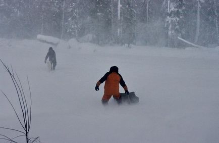 Mănâncă tovarășul și supraviețui în taiga sau mori