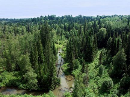 Mănâncă tovarășul și supraviețui în taiga sau mori