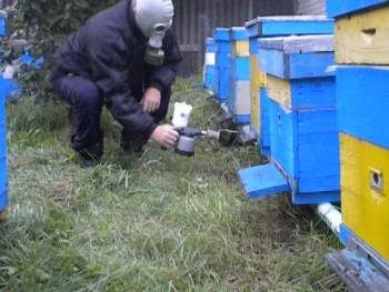 Acid oxalic (acid formic) - aplicare în apicultură (video)