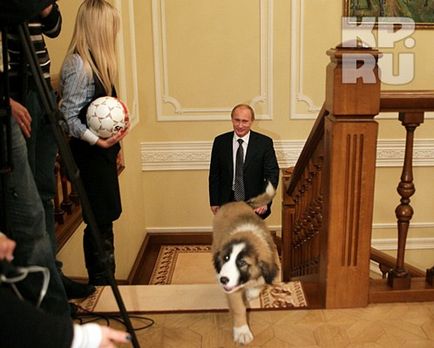 Puppy Putina ia primit numele de Buffy, Nicolletto