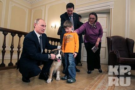 Puppy Putina ia primit numele de Buffy, Nicolletto