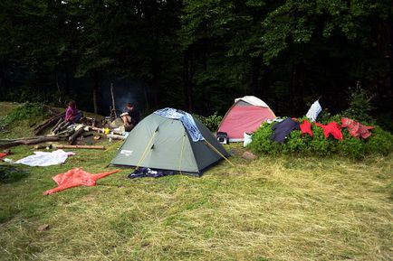 Шипіт після івана купала або чому з котами в похід краще не ходити «