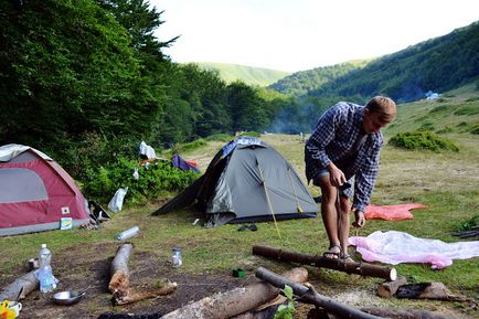 Шипіт після івана купала або чому з котами в похід краще не ходити «