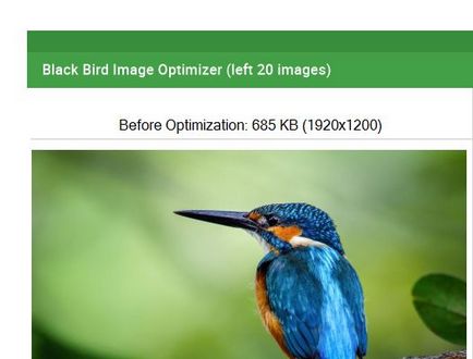 Descarcă pasăre negru imagine optimizer versiunea în limba engleză