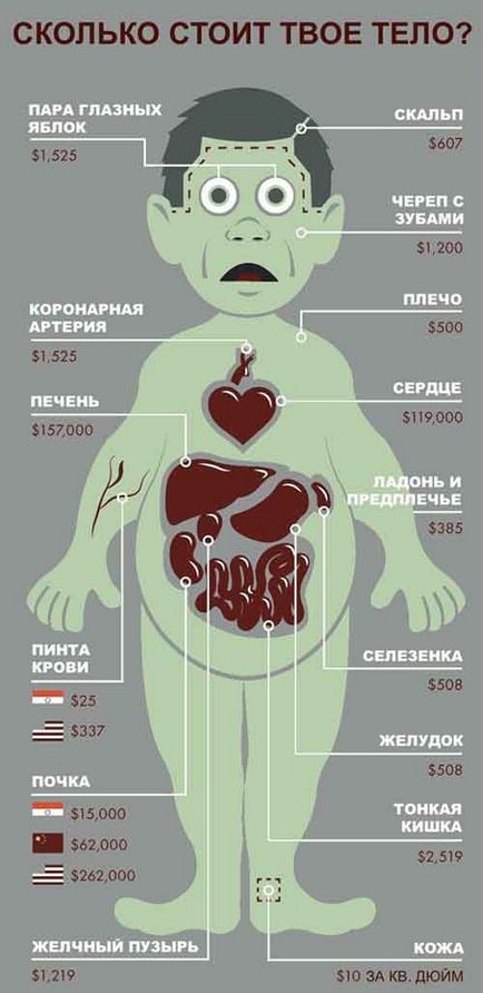 Cât costă vânzarea prețului la rinichi