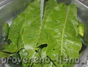 Солоні огірки в листі хрону