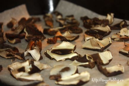 Сушка грибів в духовці, рецепти на кожен день