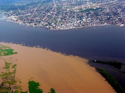 Весілля річок - амазонка, туристичне агентство Мультіпасс