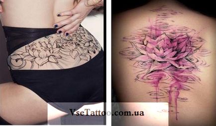 Crin de apă Tatu Tattoo, fotografii, exemple, descriere și istorie