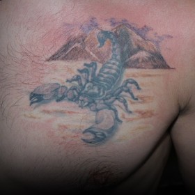 Scorpion sensul tatuaj - sensul unui simbol pentru fete și băieți