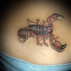 Scorpion sensul tatuaj - sensul unui simbol pentru fete și băieți