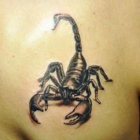 Scorpion sensul tatuaj - sensul unui simbol pentru fete și băieți