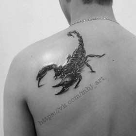 Scorpion sensul tatuaj - sensul unui simbol pentru fete și băieți