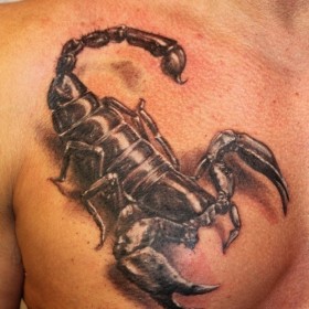 Scorpion sensul tatuaj - sensul unui simbol pentru fete și băieți