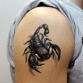 Scorpion sensul tatuaj - sensul unui simbol pentru fete și băieți