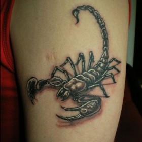 Scorpion sensul tatuaj - sensul unui simbol pentru fete și băieți