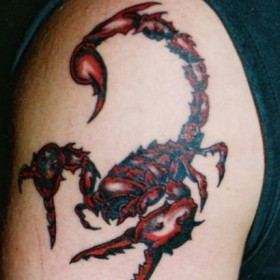 Scorpion sensul tatuaj - sensul unui simbol pentru fete și băieți