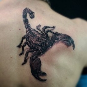 Scorpion sensul tatuaj - sensul unui simbol pentru fete și băieți