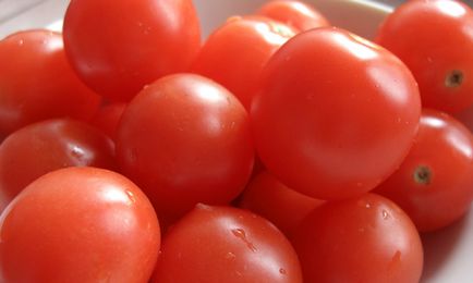 Томати черрі вирощування помідорів в теплицях і парниках