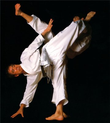 Tomiki aikido 1