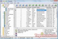 Topdownloads - archívum - xbaseview tárol explorer 11