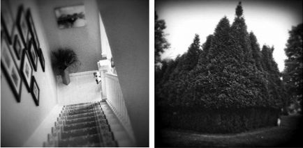 Atingerea lacrimi aduce un omagiu memoriei câinelui decedat într-o serie de fotografii ale amantei-fotografului (atingând) Atingerea lacrimilor aduce tribut memoriei câinelui decedat într-o serie de fotografii ale amantei-fotografului ei